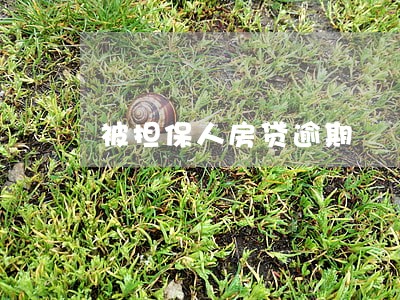 被担保人房贷逾期