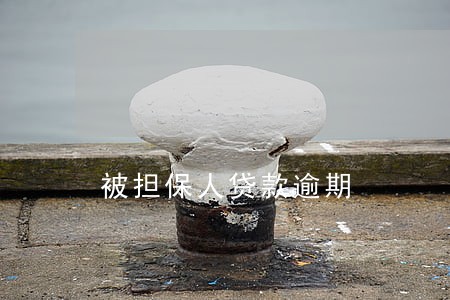 被担保人贷款逾期 被担保人贷款逾期