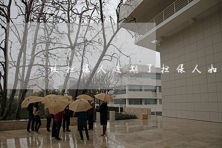 被担保人逾期了担保人如何购房 被担保人逾期了担保人如何购房