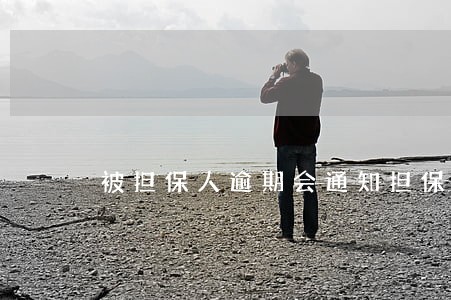 被担保人逾期会通知担保人吗 被担保人逾期会通知担保人吗