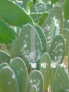 被担保人逾期担保人上征信嘛 被担保人逾期担保人上征信嘛