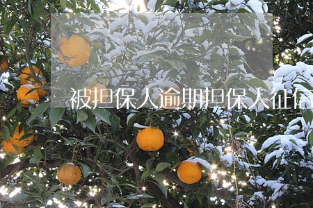 被担保人逾期担保人征信显示吗 被担保人逾期担保人征信显示吗