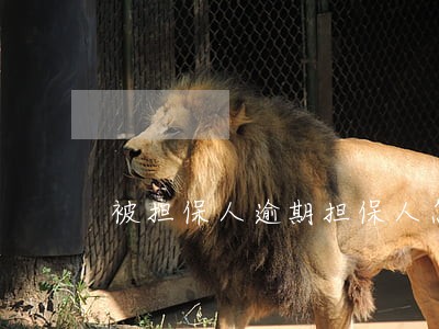 被担保人逾期担保人怎么办