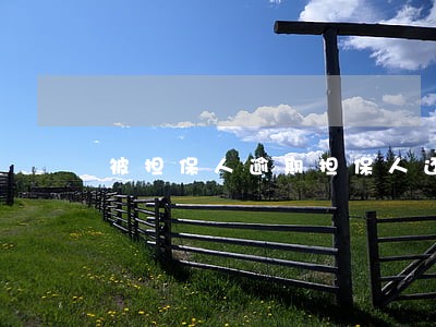被担保人逾期担保人还能贷款吗 被担保人逾期担保人还能贷款吗