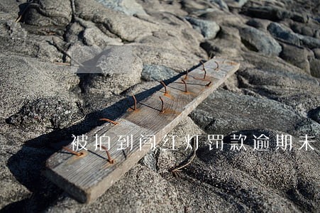 被拍到闯红灯罚款逾期未交 被拍到闯红灯罚款逾期未交