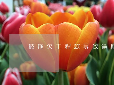 被拖欠工程款导致逾期 被拖欠工程款导致逾期