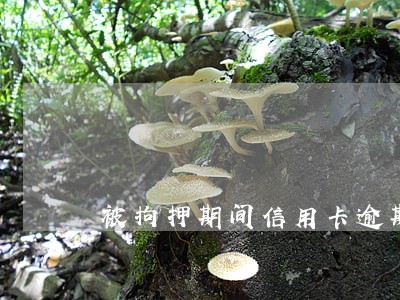 被拘押期间信用卡逾期怎么办 被拘押期间信用卡逾期怎么办