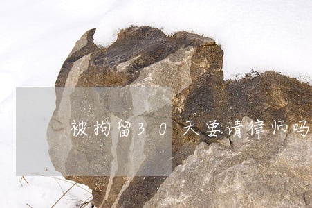 被拘留30天要请律师吗 被拘留30天要请律师吗