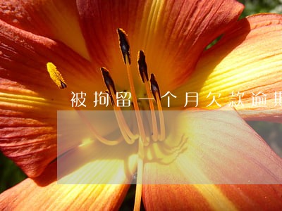 被拘留一个月欠款逾期