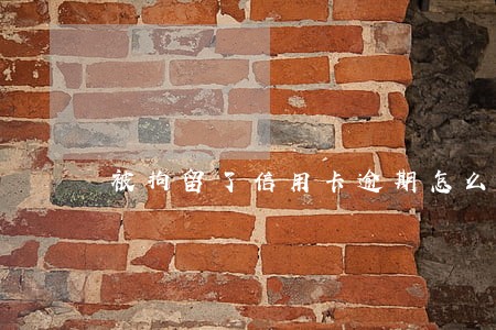 被拘留了信用卡逾期怎么协商
