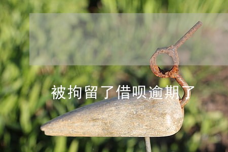 被拘留了借呗逾期了 被拘留了借呗逾期了