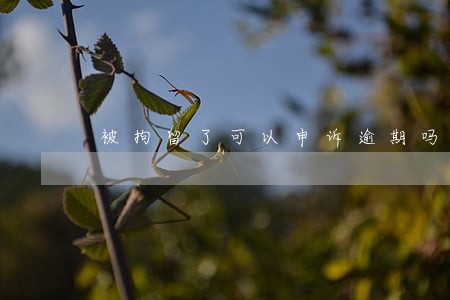 被拘留了可以申诉逾期吗 被拘留了可以申诉逾期吗