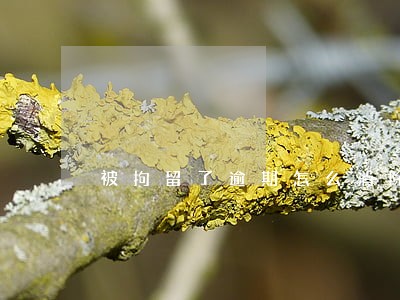 被拘留了逾期怎么消除 被拘留了逾期怎么消除