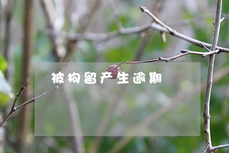 被拘留产生逾期 被拘留产生逾期