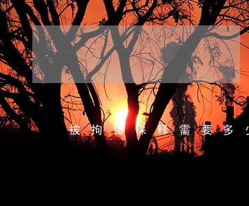 被拘留保释需要多少钱 被拘留保释需要多少钱