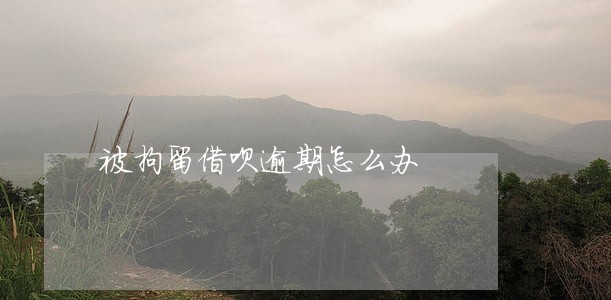 被拘留借呗逾期怎么办