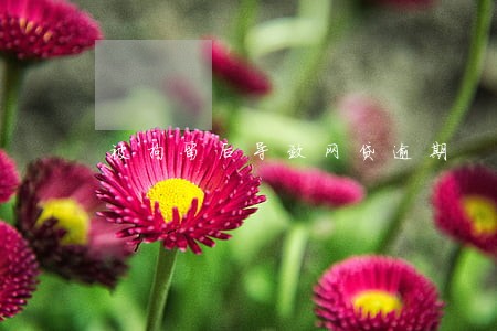被拘留后导致网贷逾期 被拘留后导致网贷逾期