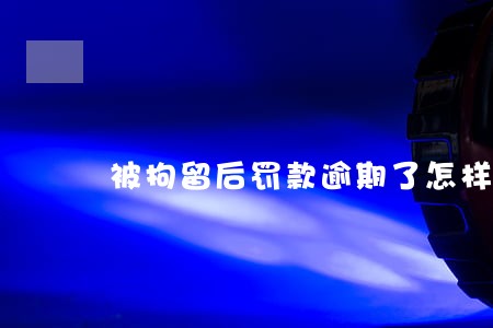 被拘留后罚款逾期了怎样处理 被拘留后罚款逾期了怎样处理