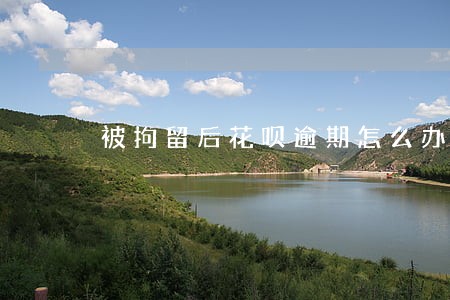 被拘留后花呗逾期怎么办 被拘留后花呗逾期怎么办