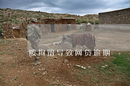 被拘留导致网贷逾期 被拘留导致网贷逾期