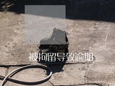 被拘留导致逾期 被拘留导致逾期