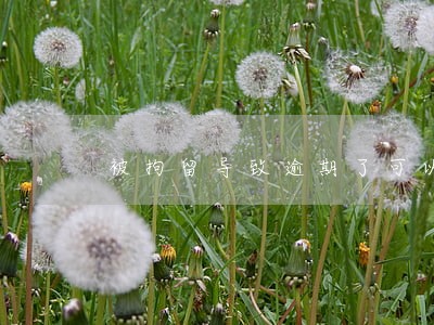 被拘留导致逾期了可以申请撤销么 被拘留导致逾期了可以申请撤销么