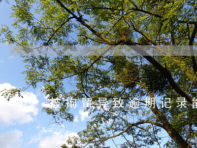 被拘留导致逾期记录能否消除 被拘留导致逾期记录能否消除