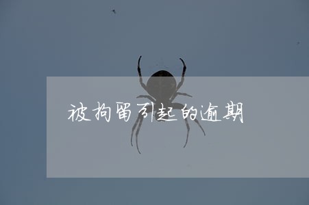 被拘留引起的逾期