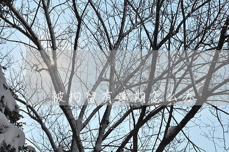 被拘留有逾期怎么办 被拘留有逾期怎么办
