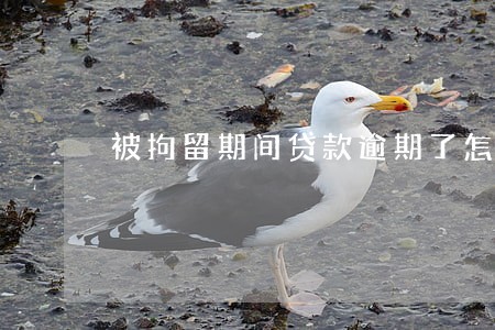 被拘留期间贷款逾期了怎么办 被拘留期间贷款逾期了怎么办