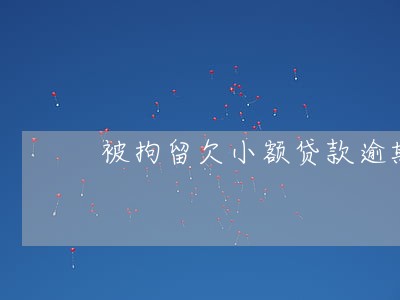 被拘留欠小额贷款逾期 被拘留欠小额贷款逾期