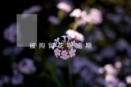 被拘留花呗逾期 被拘留花呗逾期