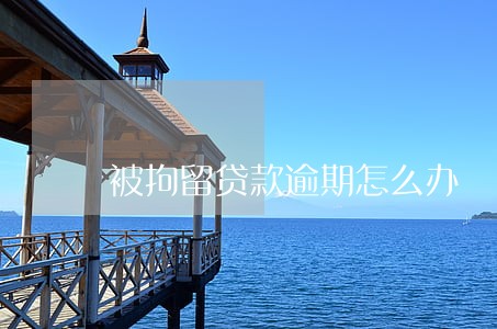 被拘留贷款逾期怎么办 被拘留贷款逾期怎么办