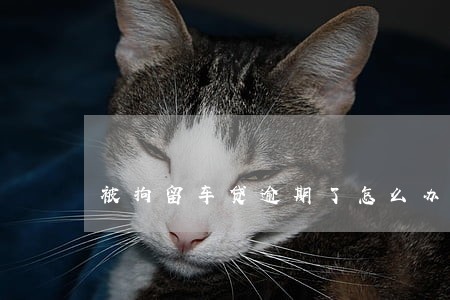 被拘留车贷逾期了怎么办 被拘留车贷逾期了怎么办