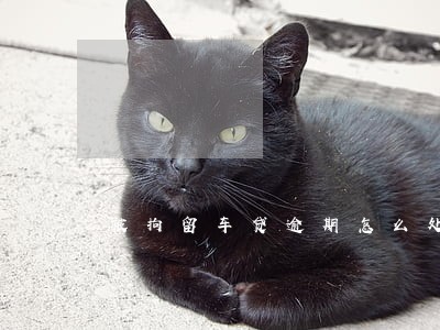 被拘留车贷逾期怎么处理