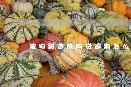 被拘留造成网贷逾期怎么办 被拘留造成网贷逾期怎么办