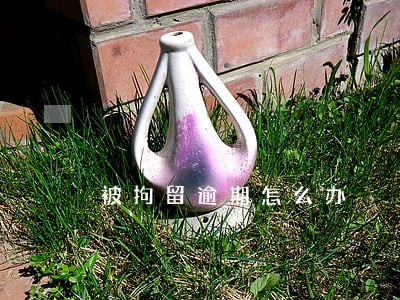 被拘留逾期怎么办 被拘留逾期怎么办