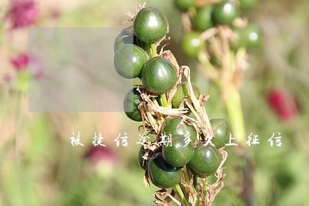 被捷信逾期多久上征信 被捷信逾期多久上征信