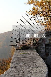 被朋友借钱导致逾期 被朋友借钱导致逾期