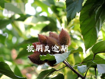 被朋友逾期 被朋友逾期