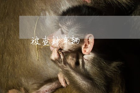被查封车辆 被查封车辆