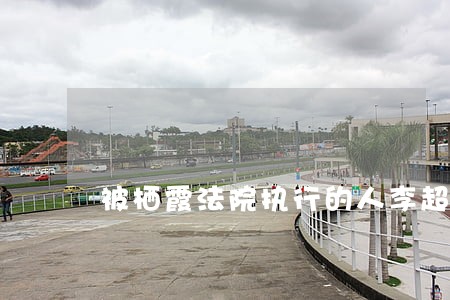 被栖霞法院执行的人李超 被栖霞法院执行的人李超