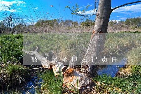 被民警承担法律责任 被民警承担法律责任