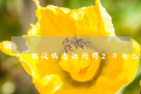 被没收违法所得2万余元