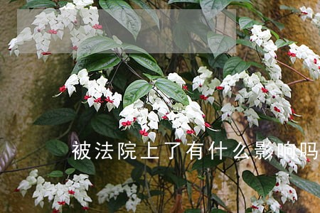 被法院上了有什么影响吗 被法院上了有什么影响吗