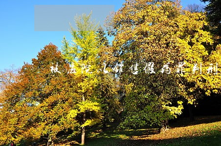 被法院以销售假药罪判刑6个月 被法院以销售假药罪判刑6个月