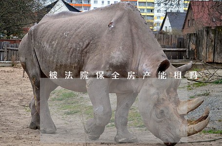 被法院保全房产能租吗