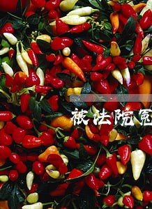 被法院冤枉有什么法 被法院冤枉有什么法