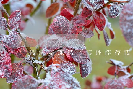 被法院冻结了钱还能存钱吗