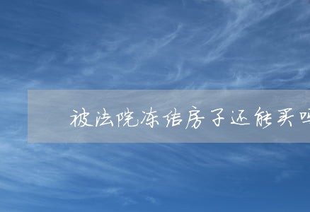 被法院冻结房子还能买吗